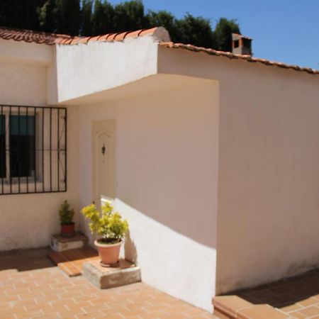Studio Tropical Cullar Vega Bagian luar foto