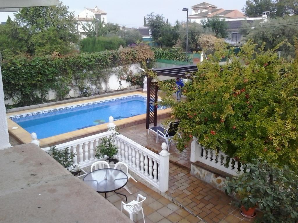 Studio Tropical Cullar Vega Bagian luar foto